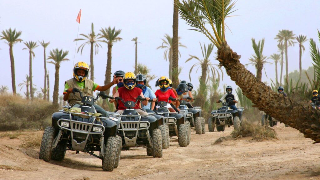 Quad Ride in  Palmerie