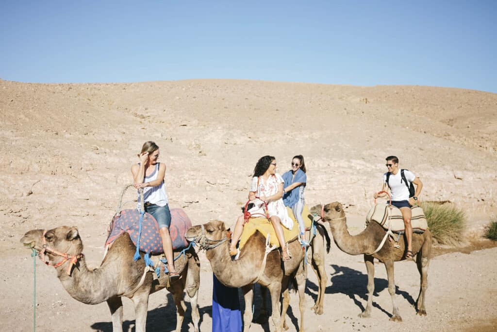 Agafay Desert Camel Ride